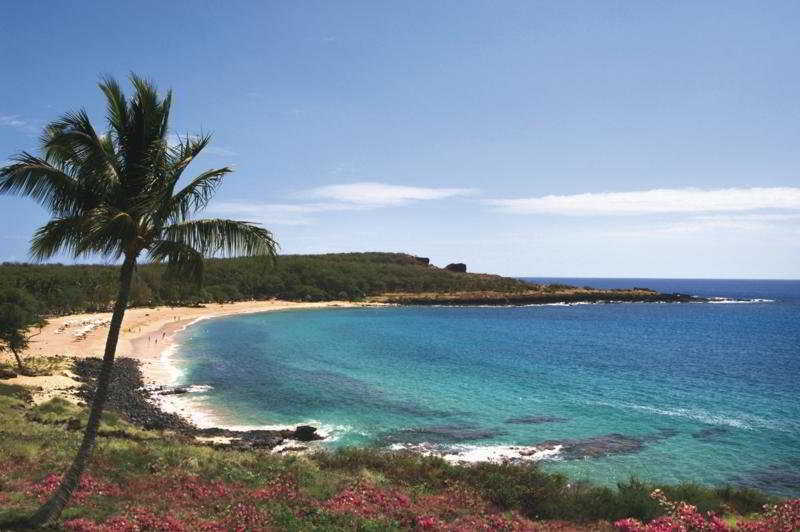 Lanai 2*